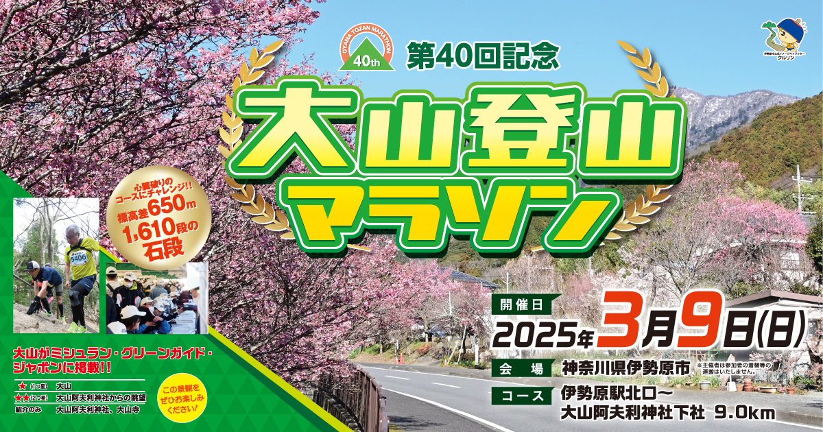 神奈川県伊勢原市のふるさと納税 [限定] 第40回記念大山登山マラソン大会参加券！限定特典付！ [0275]