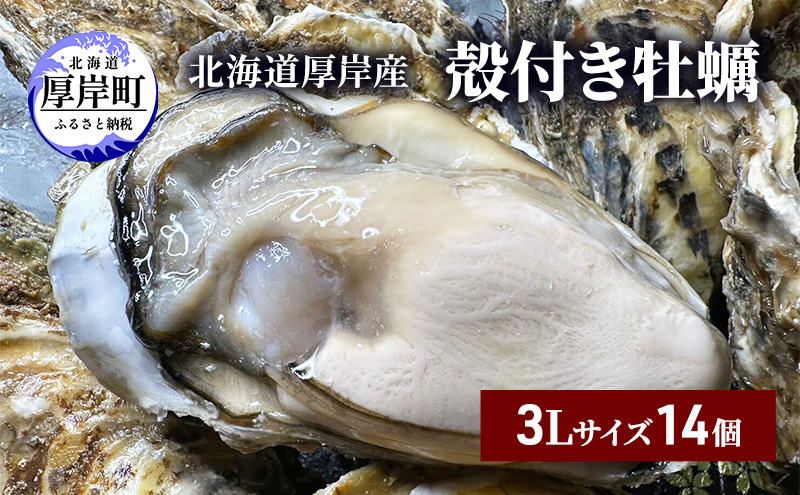 14個（北海道厚岸町）　3Lサイズ　ふるさと納税サイト「ふるさとプレミアム」　北海道　殻付き　厚岸産　牡蠣