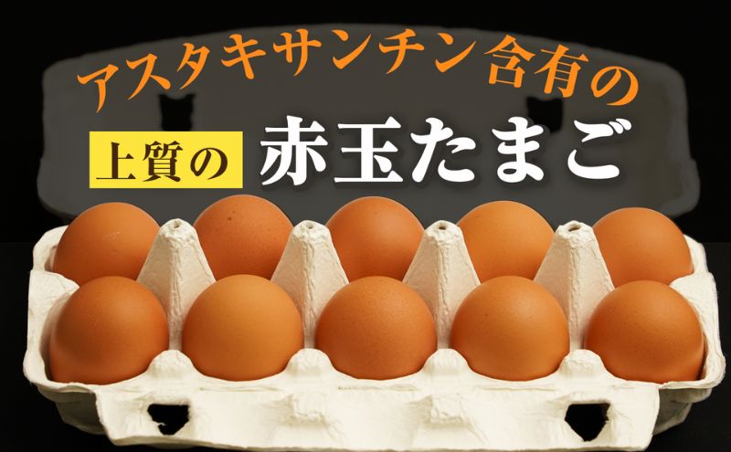 アスタキサンチンたまごちゃん 10個入り×3パック 卵 鶏卵