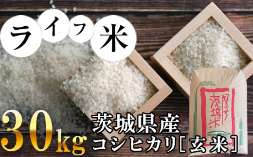 玄米 コシヒカリ 30kg  お米 ご飯
