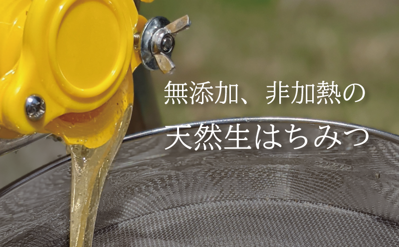 岐阜県美濃市のふるさと納税 90g 天然蜂蜜 国産蜂蜜 非加熱 生はちみつ 岐阜県 美濃市産 (配送エリア限定) D1