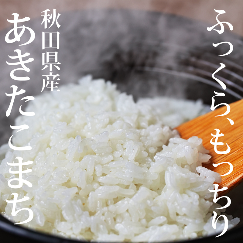 秋田県三種町のふるさと納税 《令和7年産 新米先行受付》《定期便2ヶ月》秋田県産 あきたこまち 10kg(10kg×1袋)×2回【白米】計20kg 令和7年産