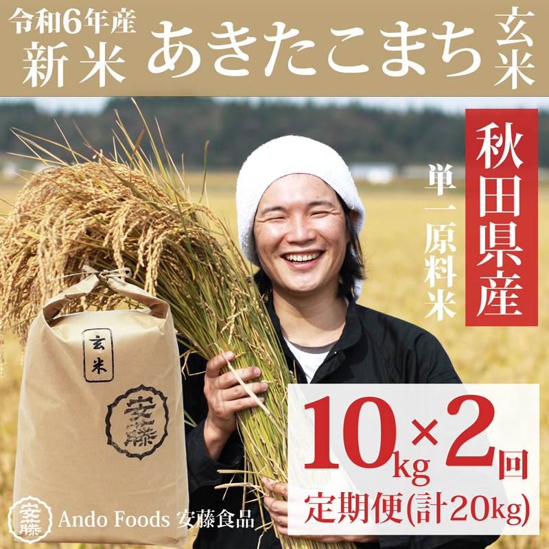 秋田県三種町のふるさと納税 《令和6年産 新米予約》《定期便2ヶ月》秋田県産 あきたこまち 10kg(10kg×1袋)×2回【玄米】計20kg 令和6年産