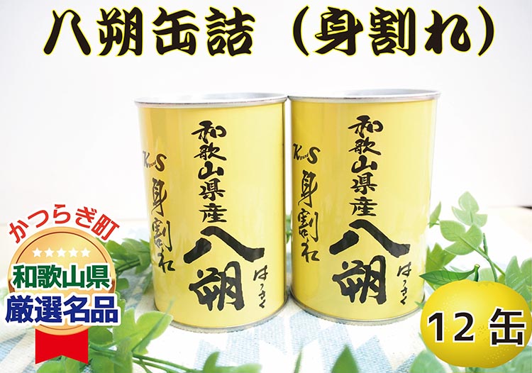 和歌山県産八朔缶詰（身割れ）425g×12缶セット
※着日指定不可