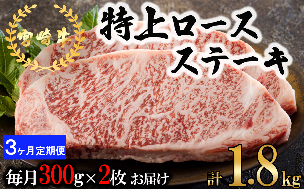 y{茧z3  {苍  [X Xe[L 300g×2×3 v1.8kg ^ [AOYƏ {茧  31be0064]     јa ē