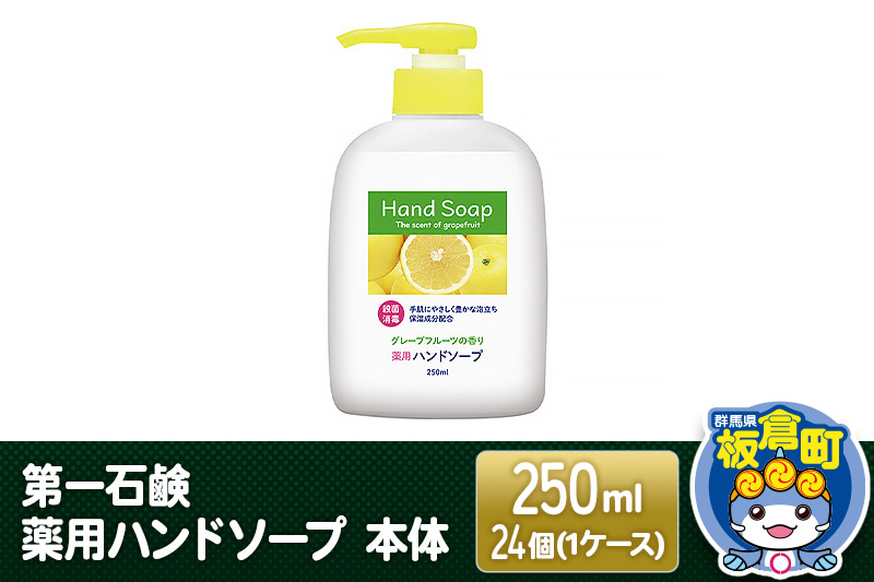 第一石鹸 薬用ハンドソープ 本体 250ml×24個（1ケース） / 群馬県板倉