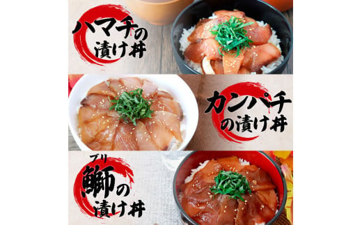 高知県田野町のふるさと納税 これが魚屋の漬け丼だ！海鮮5種食べ比べセット 《訳あり》 80ｇ×5P 鮪 ハマチ 鯛 カンパチ ブリ 詰め合わせ 漬け丼 漬け どんぶり 丼 5パック 海鮮 魚 真空パック 個食 個包装 冷凍