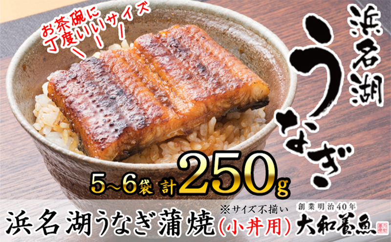 浜名湖うなぎ蒲焼（小丼用）計250g 【訳