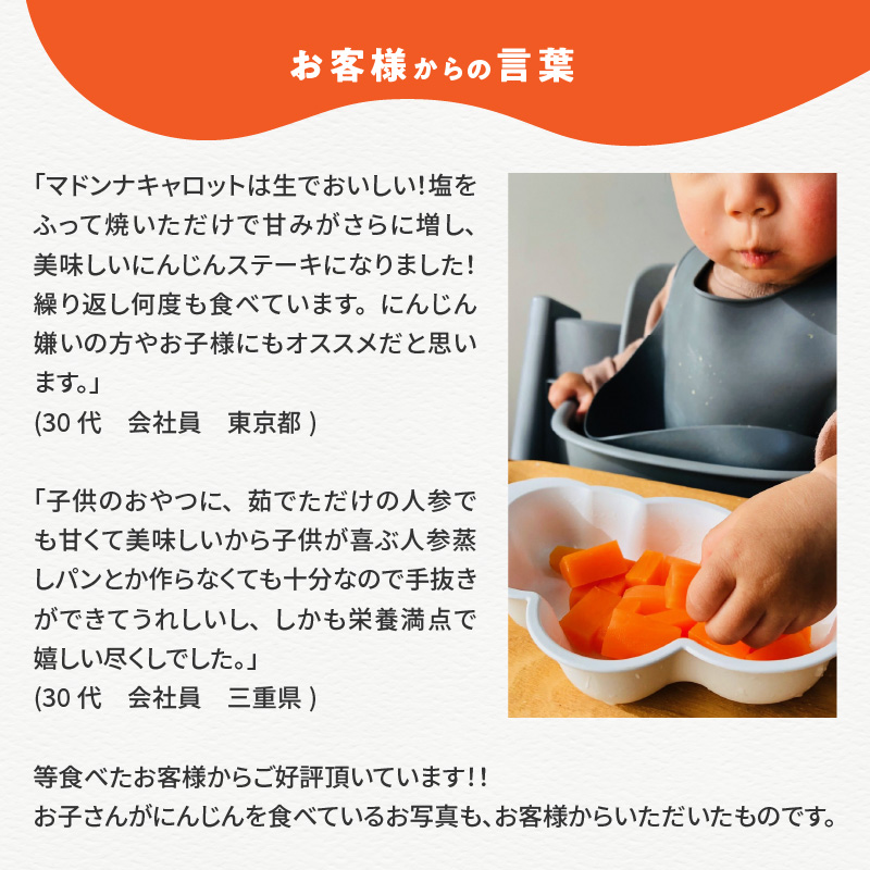 愛知県碧南市のふるさと納税 【福箱★2025】 訳ありマドンナキャロット8kg 子どもも食べられる甘み 皮ごと生で食べられる H105-124