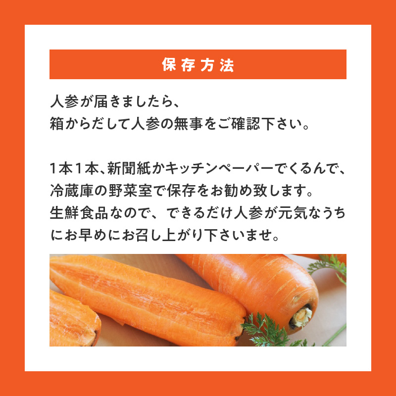 愛知県碧南市のふるさと納税 【福箱★2025】 訳ありマドンナキャロット8kg 子どもも食べられる甘み 皮ごと生で食べられる H105-124