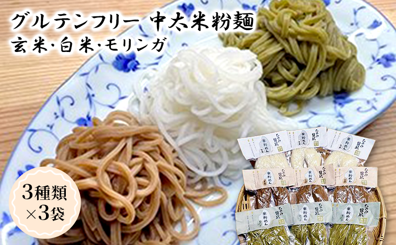 グルテンフリー 米粉麺 中太 3種類 3袋 玄米 白米 モリンガ 麺 自然栽培 むつみ男米の米粉麺|株式会社アグリード