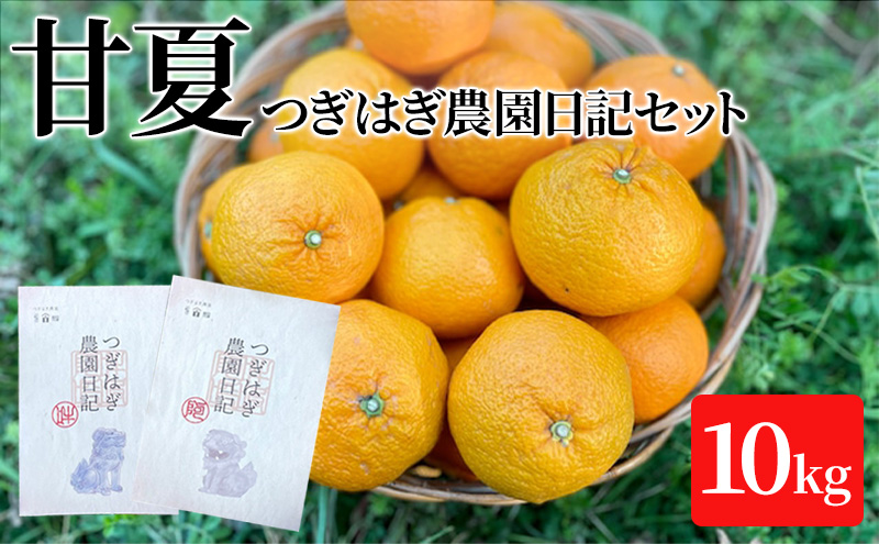 みかん 甘夏 10kg セット 『つぎはぎ農園日記』つぎはぎセット 果物 柑橘 ミカン フルーツ