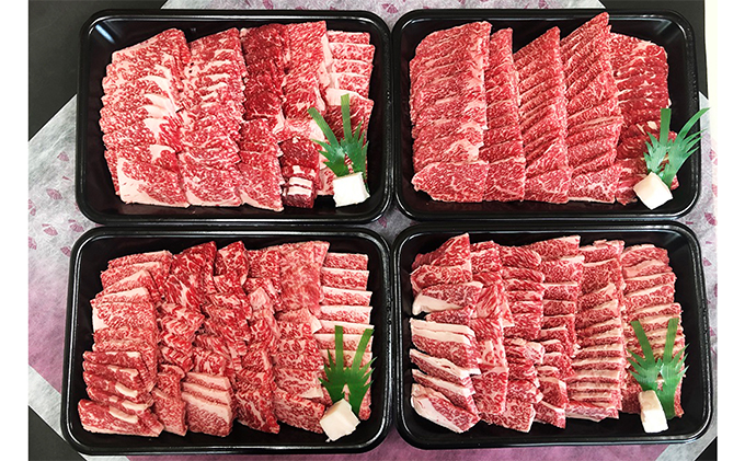 【岐阜県瑞穂市】飛騨牛 バラカルビ焼肉用4kg|牛肉 お肉 和牛 バラ肉 ※離島への配送不可
