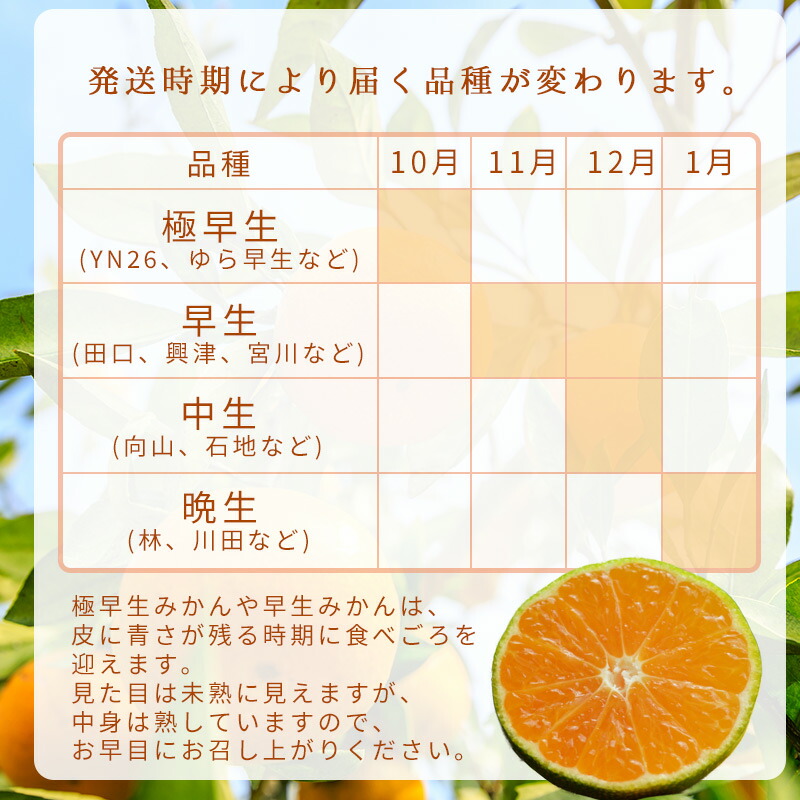 和歌山県湯浅町のふるさと納税 DZ6204_ご家庭用　有田みかん 大玉(2L,3Lサイズ混合) 約10kg