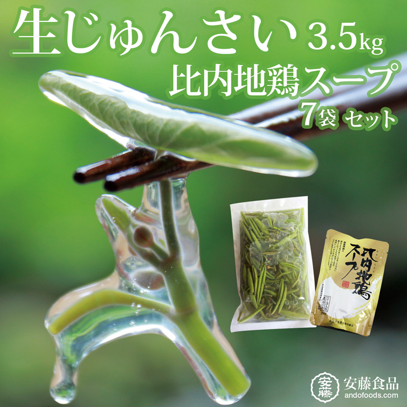 生じゅんさい3.5kg＋比内地鶏スープ200ml×7袋 《冷蔵》（2024年5月中旬頃～7月下旬順次発送予定） 令和6年産 2024年産 先行受付  秋田県産 三種町産|株式会社安藤食品