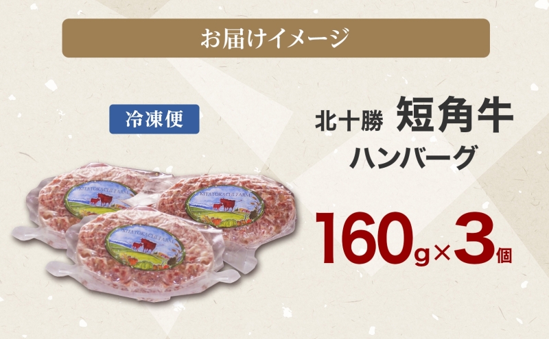 北海道足寄町のふるさと納税 北海道 北十勝 短角牛 ハンバーグ 160g×3 計480g 肉 ビーフハンバーグ ビーフ 赤身 赤身肉 和牛 牛肉 国産 ご飯 贅沢 肉厚 おかず 冷凍 ギフト 北十勝ファーム 送料無料