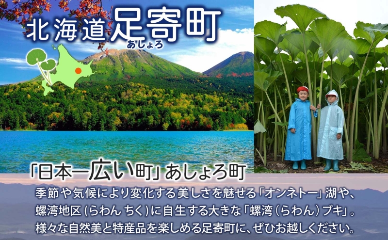 北海道足寄町のふるさと納税 北海道 北十勝 短角牛 ハンバーグ 160g×3 計480g 肉 ビーフハンバーグ ビーフ 赤身 赤身肉 和牛 牛肉 国産 ご飯 贅沢 肉厚 おかず 冷凍 ギフト 北十勝ファーム 送料無料