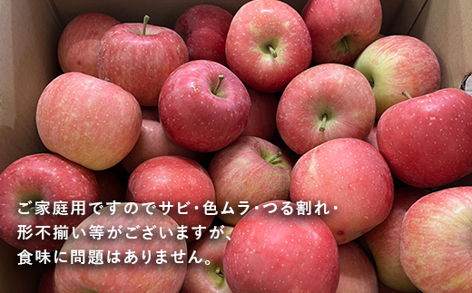 山形県南陽市のふるさと納税 【令和6年産先行予約】 〈訳あり品 家庭用〉 りんご 「サンふじ」 約5kg バラ詰め 《令和6年12月上旬～令和7年2月下旬発送》 『カネタ高橋青果』 リンゴ 山形県 南陽市 [1958]