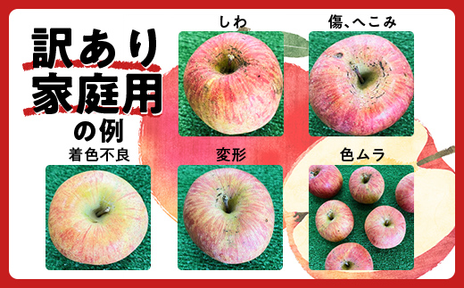 山形県南陽市のふるさと納税 【令和6年産先行予約】 〈訳あり品 家庭用〉 りんご 「サンふじ」 約5kg バラ詰め 《令和6年12月上旬～令和7年2月下旬発送》 『カネタ高橋青果』 リンゴ 山形県 南陽市 [1958]