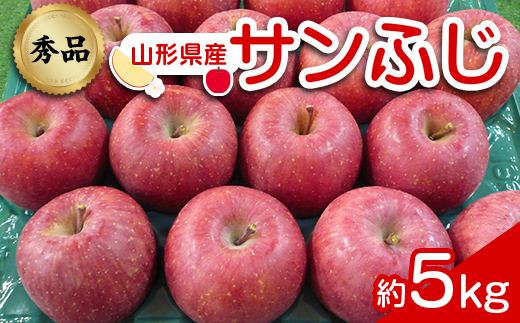 山形県南陽市のふるさと納税 【令和6年産先行予約】 りんご 「サンふじ」 約5kg (12～23玉 秀品) 《令和6年12月上旬～令和7年2月下旬発送》 『カネタ高橋青果』 リンゴ 山形県 南陽市 [1960]