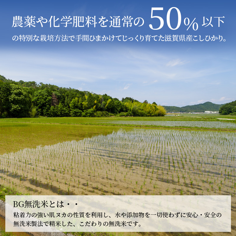 滋賀県豊郷町のふるさと納税 令和5年産ふるさと応援特別米みずかがみ（BG無洗米）5kg