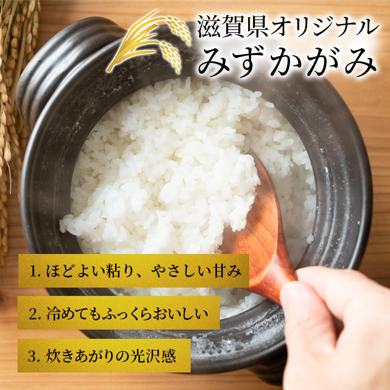 滋賀県豊郷町のふるさと納税 令和5年産ふるさと応援特別米みずかがみ（BG無洗米）5kg