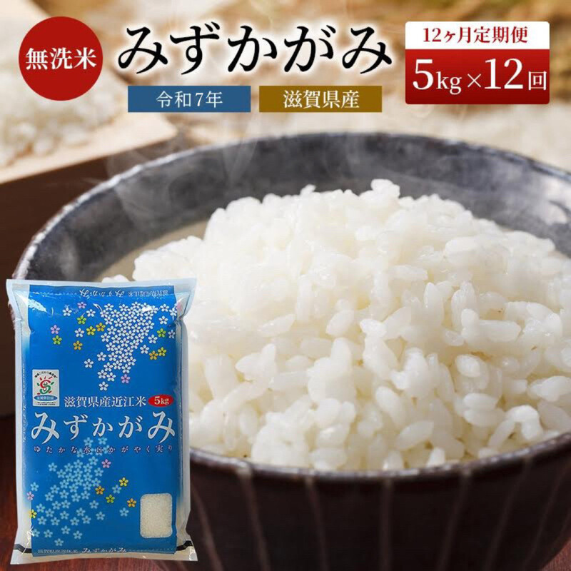 【令和7年産新米】【先行受付開始】滋賀県産 定期便 12ヶ月 みずかがみ BG無洗米 5kg ふるさと応援特別米 無洗米 お米 こめ コメ おこめ 白米 12回 お楽しみ