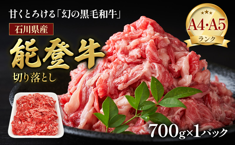 【石川県能美市】A5・A4ランク 石川県産 黒毛和牛 切り落とし 能登牛 お肉 牛肉