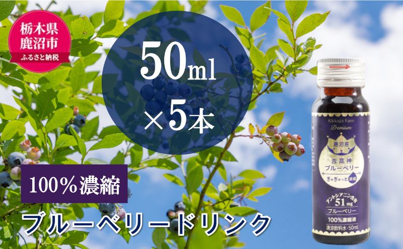 【栃木県鹿沼市】無添加 砂糖不使用 のぎゅぎゅっと 100% 濃縮 ブルーベリードリンク 1箱 (50ml×5本) 果汁飲料 野菜飲料 ブルーベリージュース 美味しい 濃縮し 高糖度 添加物 安全 安心 アントシアニン 手軽 飲み物