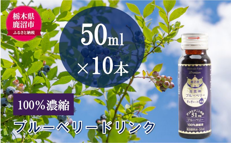 【栃木県鹿沼市】無添加 砂糖不使用 のぎゅぎゅっと 100% 濃縮 ブルーベリードリンク 2箱 (50ml×10本) 果汁飲料 野菜飲料 ブルーベリージュース 美味しい 濃縮し 高糖度 添加物 安全 安心 アントシアニン 手軽 飲み物