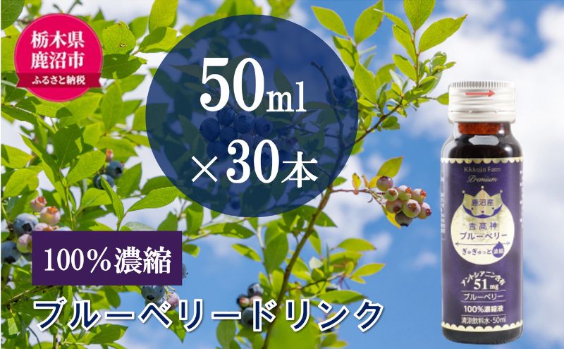 【栃木県鹿沼市】無添加 砂糖不使用 のぎゅぎゅっと 100% 濃縮 ブルーベリードリンク 6箱 (50ml×30本) 果汁飲料 野菜飲料 ブルーベリージュース 美味しい 濃縮し 高糖度 添加物 安全 安心 アントシアニン 手軽 飲み物