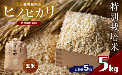 [5回定期] 特別栽培米 四億年の大地米(ヒノヒカリ玄米) 5kg×5回