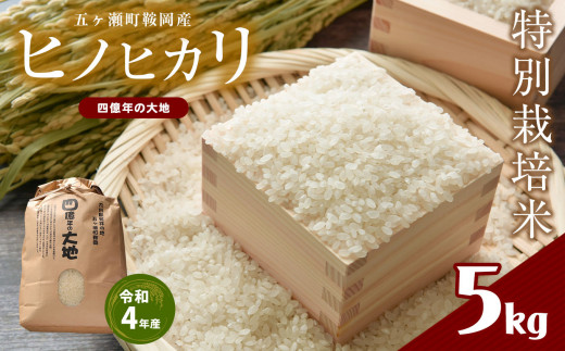 特別栽培米 四億年の大地(令和4年産ヒノヒカリ) 5kg