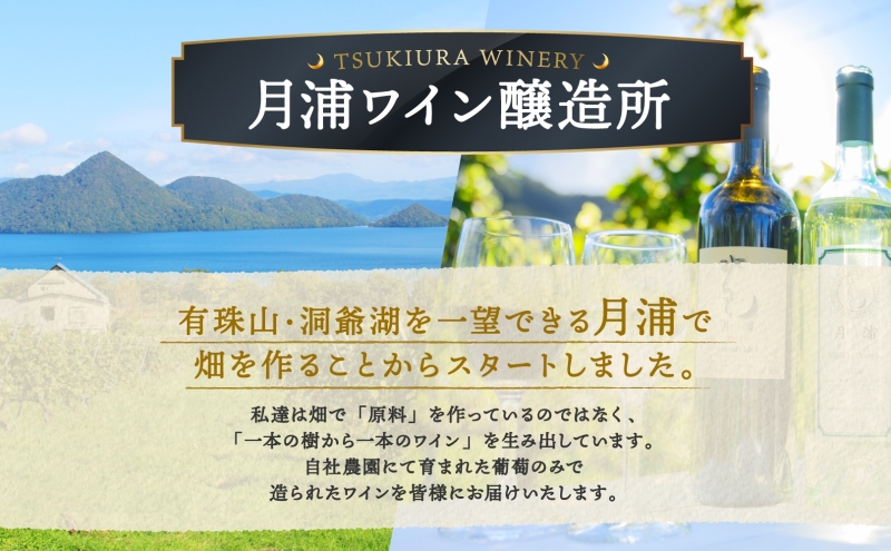 北海道 月浦ワイン 赤 750ml×2本 ドルンフェルダー 赤ワインお酒