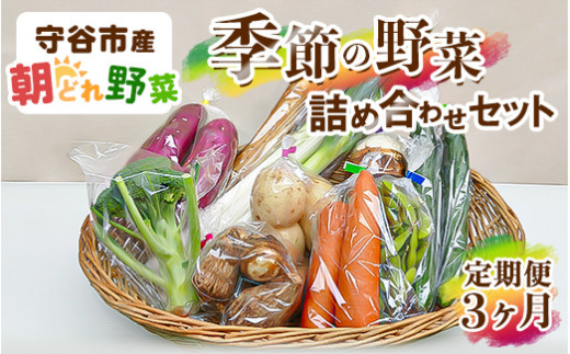 【茨城県守谷市】【定期便】季節の野菜セット定期便