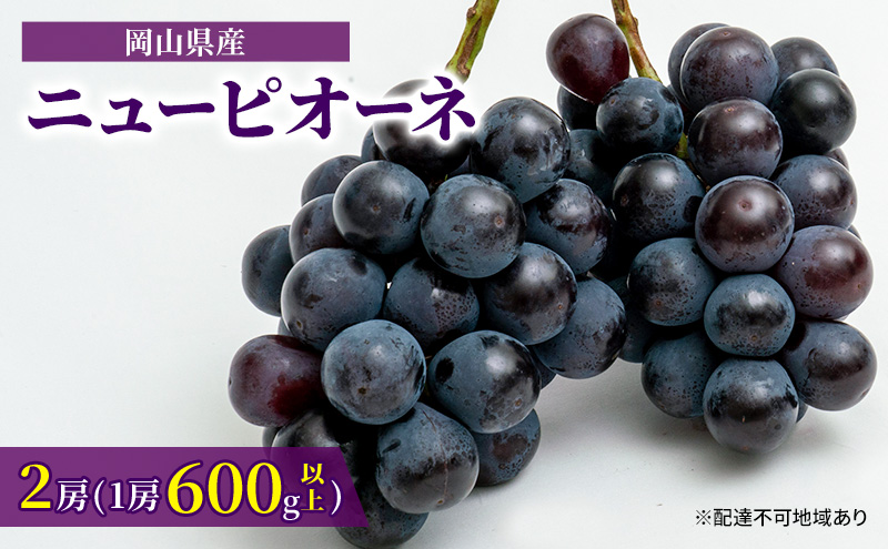 ぶどう 2024年 先行予約 ニュー ピオーネ 2房（1房600g以上）化粧箱入り ブドウ 葡萄 岡山県産 国産 フルーツ 果物 ギフト