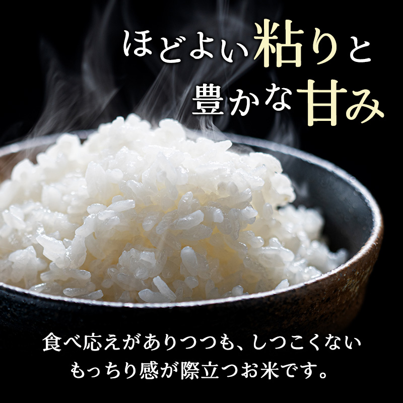 北海道仁木町のふるさと納税 6ヵ月 定期便 (無洗米5kg)ホクレンゆめぴりか(無洗米5kg×1袋) お米 白米 ごはん ご飯 ライス 和食 炭水化物 主食 おにぎり お弁当  [JA新おたる]