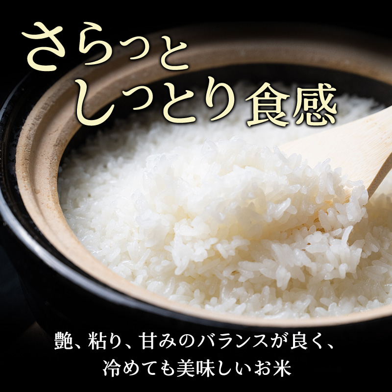 北海道仁木町のふるさと納税 ホクレン北海道ななつぼし（精米10kg（5kg×2袋）） お米  米 ごはん 精米 白米 国産 北海道 こめ コメ [JA新おたる]