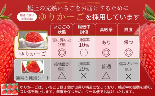 冷蔵）【令和 ６年 5月発送分】 古都華 300g×2 ／ 丸笑いちご園 完熟