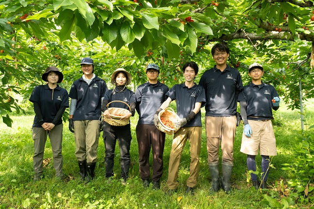 先行予約 北海道産 紅秀峰 800g バラ 秀品 Lサイズ以上 サクランボ 朝