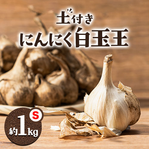 土付き にんにく 白玉王 1kg Sサイズ 本別町産 斎啓一 北海道 本別町[先行予約][2025年8月上旬-9月末頃出荷]送料無料 ニンニク ガーリック 乾燥にんにく スタミナ 野菜 1キロ