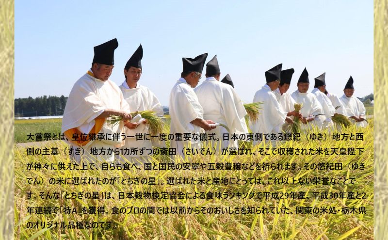 栃木県鹿沼市産 とちぎの星 無洗米 5kg 令和6年産 水稲うるち 栃木県鹿沼市産 とちぎの星 無洗米 5kg 令和6年産 水稲うるち