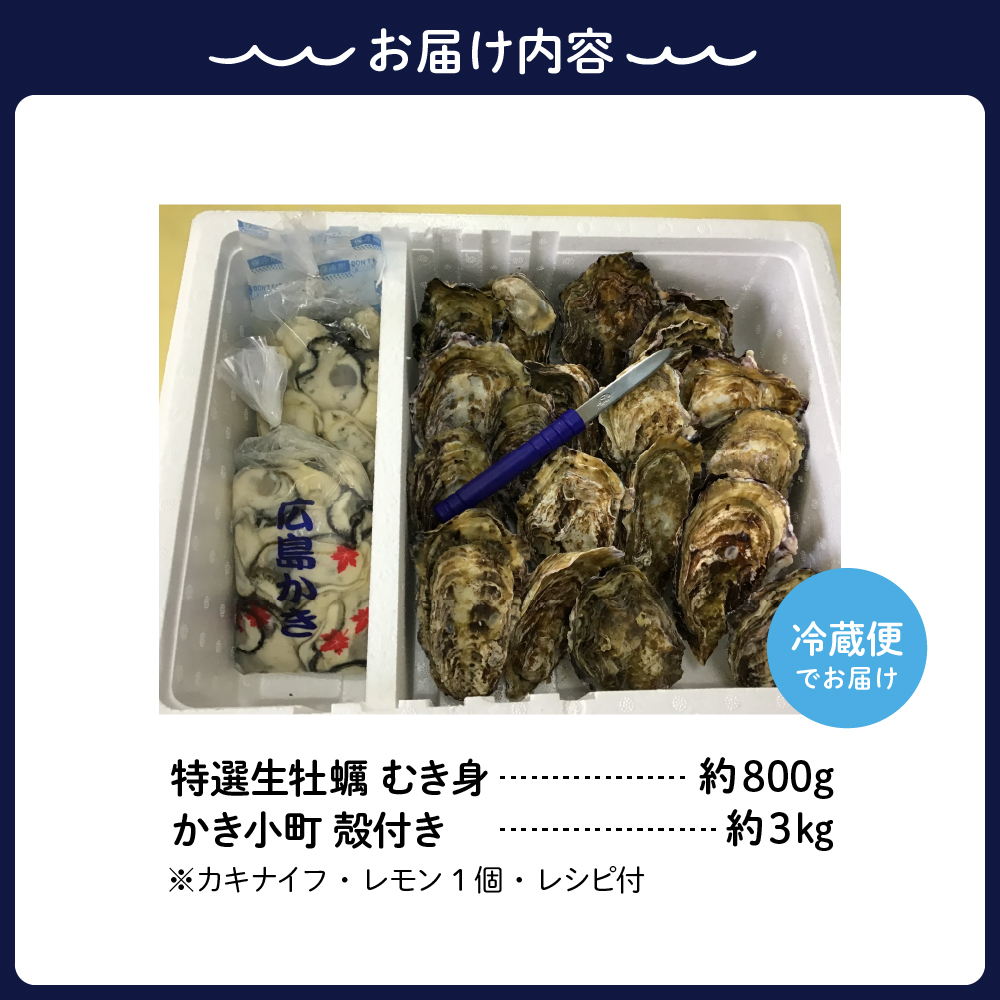 ふるさと納税 広島県 呉市 丸十水産 特選生牡蠣 むき身 700g