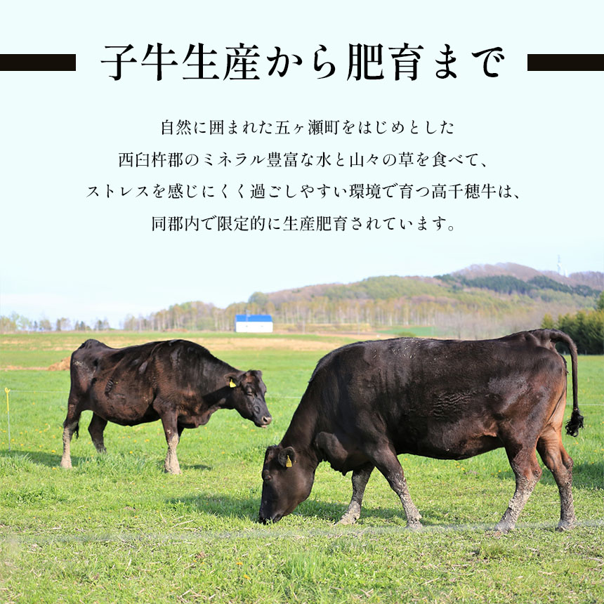 宮崎県五ヶ瀬町のふるさと納税 高千穂牛 小間切れ　800g