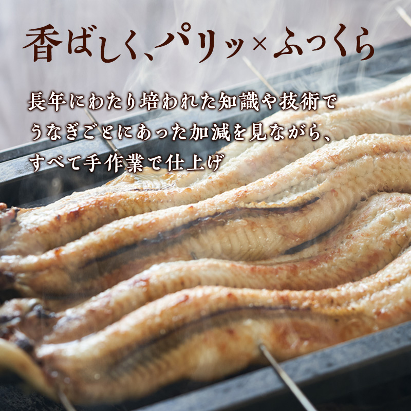 うなぎ 浜名湖 特撰 ウナギ 白焼き 10尾 国産 鰻 浜名湖うなぎ たれ