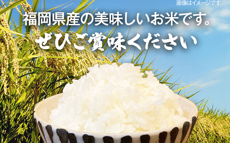 令和5年産】 福岡県 大木町産 元気つくし 7分づき 10kg (3～7分付米は玄米10kgより都度精米を行うため、お届け重量は10kg以下となります。詳細はページ内よりご確認ください)  BC02_7b / 福岡県大木町 | セゾンのふるさと納税