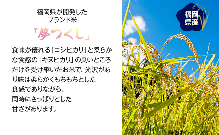 玄米】夢つくし 10キロ - 宮本ふぁーまーず｜福岡県産米夢つくし