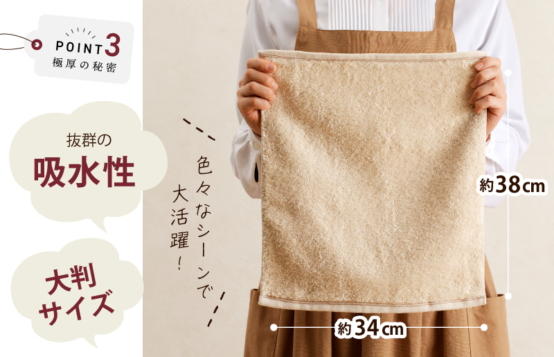 大阪府泉佐野市のふるさと納税 【期間限定】極厚ハンドタオル 10枚 生成色 泉州タオル G1145