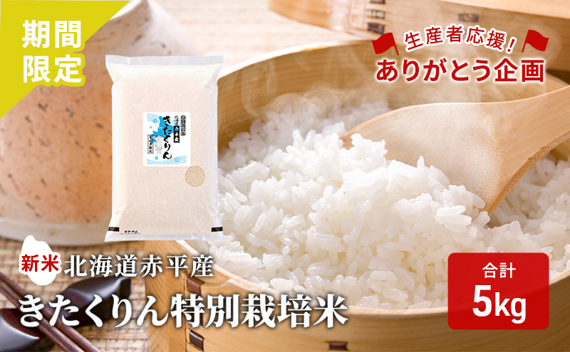 食品新米　きたくりん　北海道　米