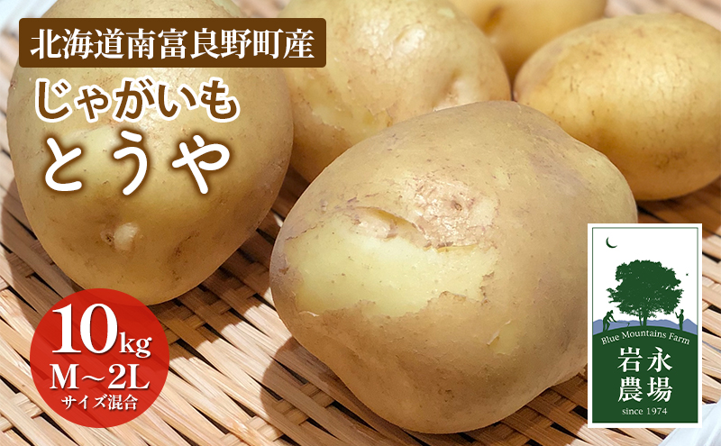 北海道 南富良野町 じゃがいも「とうや」10kg(M～2Lサイズ混合) じゃがいも ジャガイモ とうや 野菜 やさい